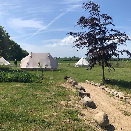 Hotel Helles Have Glamping Stege Zewnętrze zdjęcie