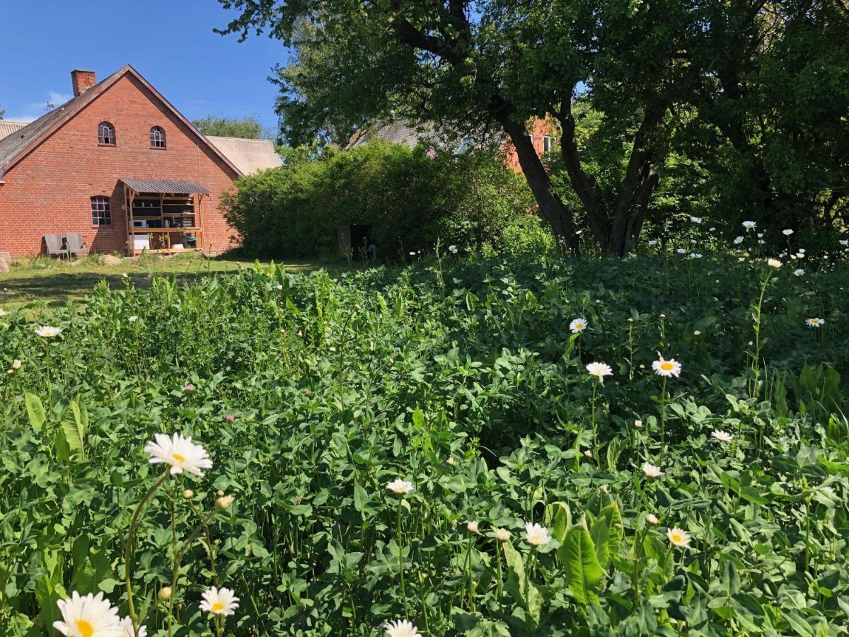 Hotel Helles Have Glamping Stege Zewnętrze zdjęcie