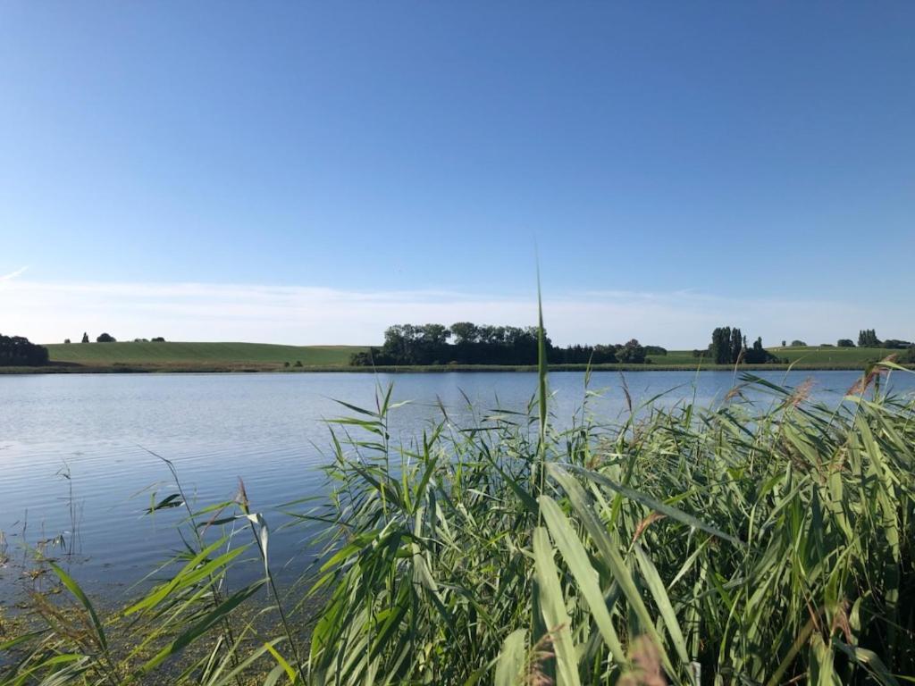 Hotel Helles Have Glamping Stege Zewnętrze zdjęcie