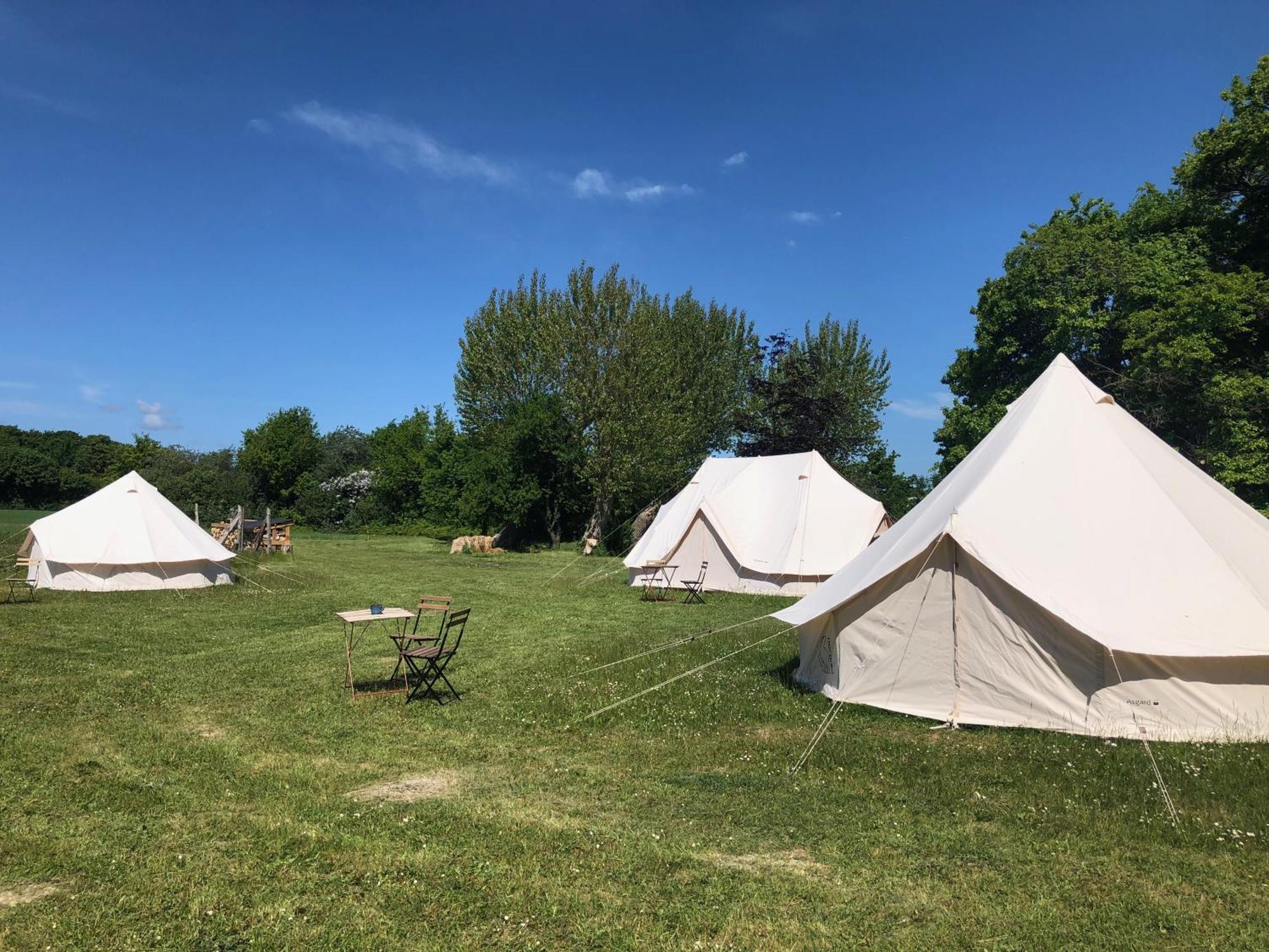 Hotel Helles Have Glamping Stege Zewnętrze zdjęcie